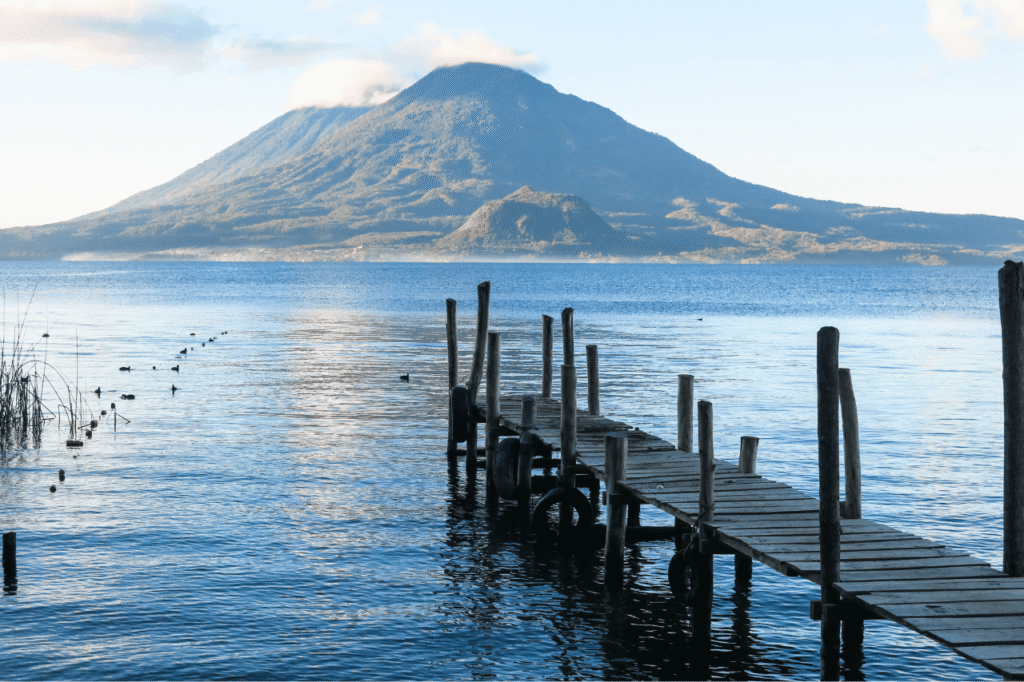 projekt bez nazwy copy 12